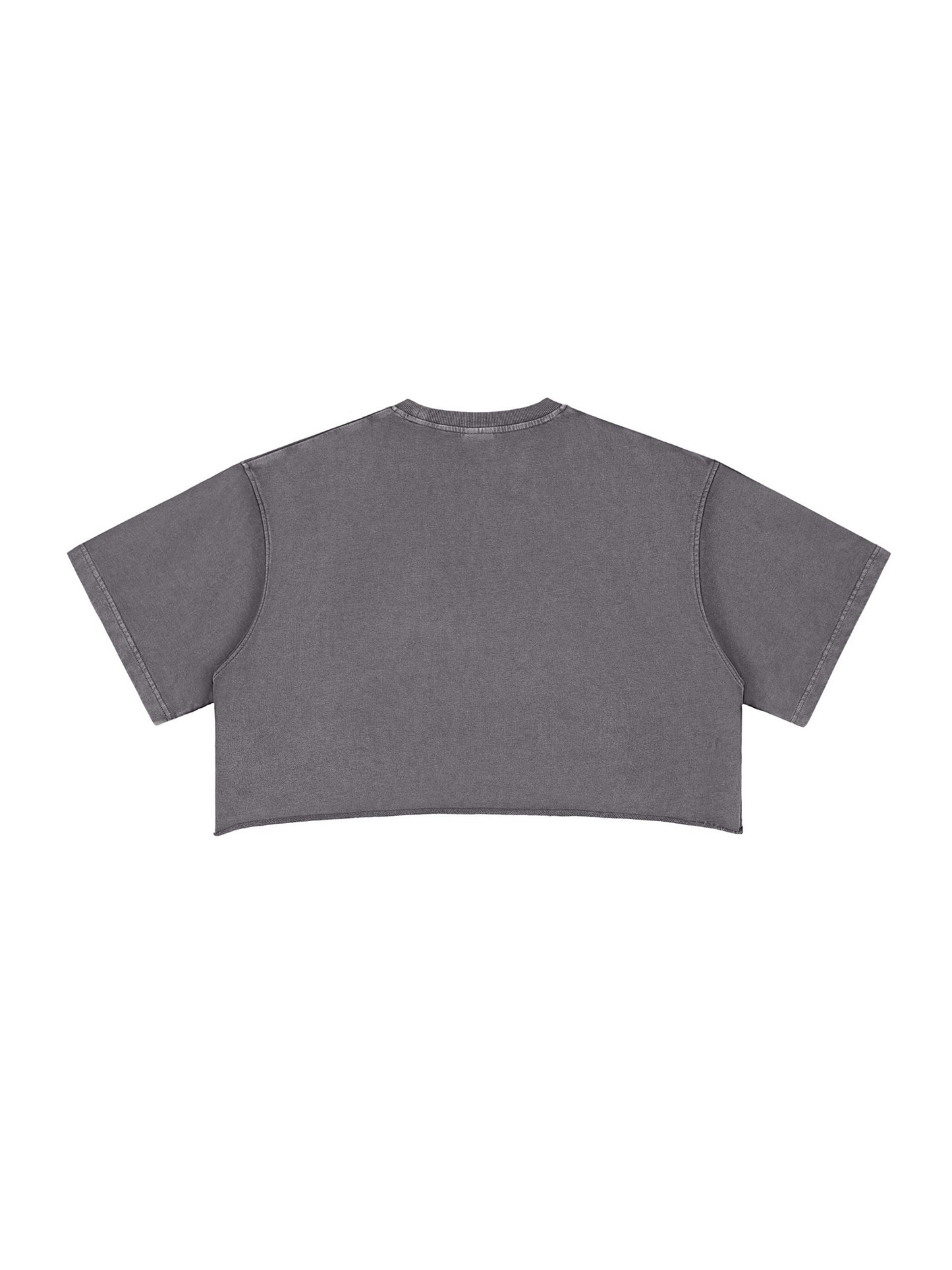 Snow Washed Raw Edge Crop Top